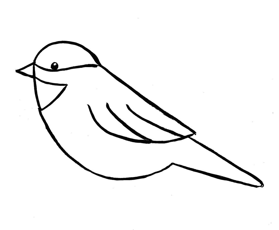 Drawing A Easy Bird How to Draw A Bird Step by Step Easy with Pictures Birds