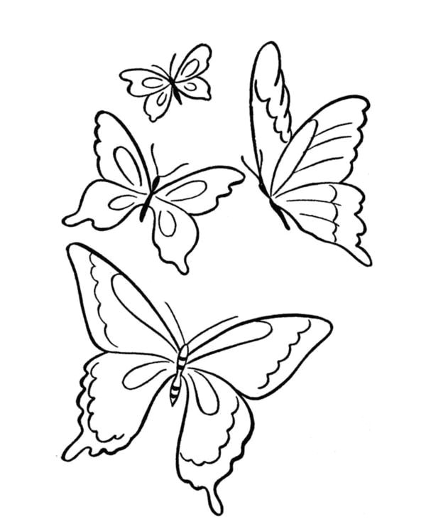 Drawing A Easy butterfly 600×734 butterfly Four butterflies Flying On the Park Coloring Page