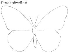 Drawing A Easy butterfly Draw A butterfly Art Techniques Pinterest Drawings Easy