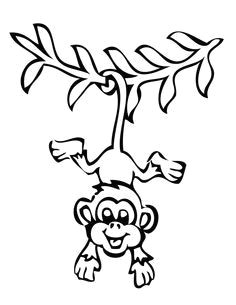 Drawing A Easy Monkey 36 Best Monkeys Images Monkeys How to Draw Monkey