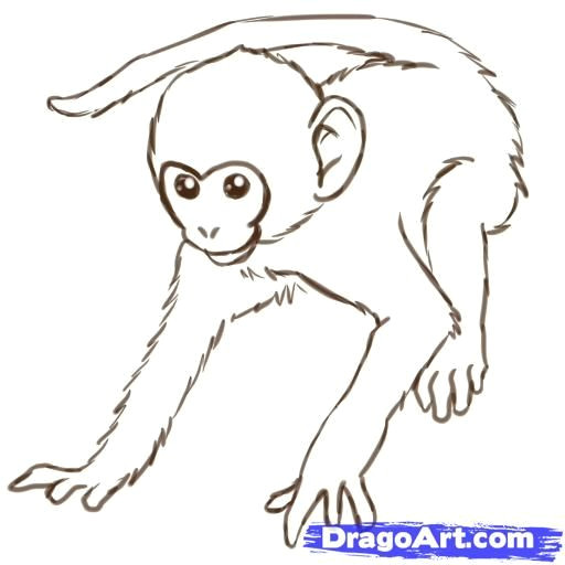 Drawing A Easy Monkey Monkeys Drawings How to Draw Monkeys Step 12 Zeichnen Drawings