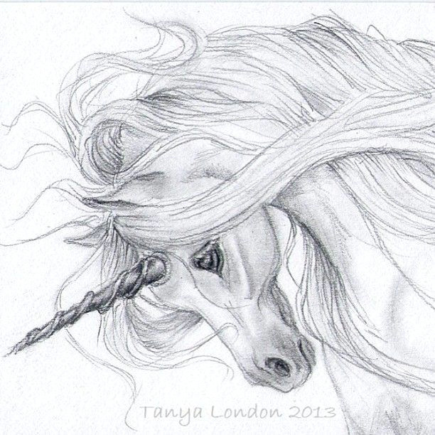 Drawing A Easy Unicorn Realistic Unicorn Drawings Unicorn Drawing In Pencil Gray Unicorn