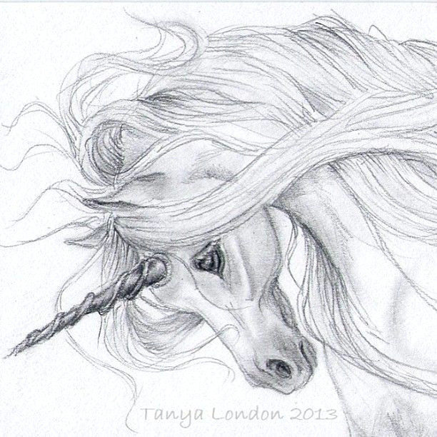 Drawing A Easy Unicorn Realistic Unicorn Drawings Unicorn Drawing In Pencil Gray Unicorn