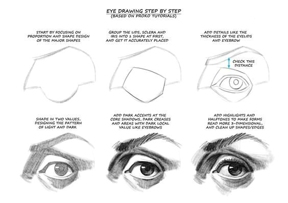 Drawing A Eyelid Character Design Collection Eyes Anatomy Anatomy Pinterest