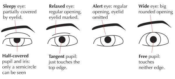 Drawing A Eyelid Human Anatomy Fundamentals Mastering Facial Expressions Tuts