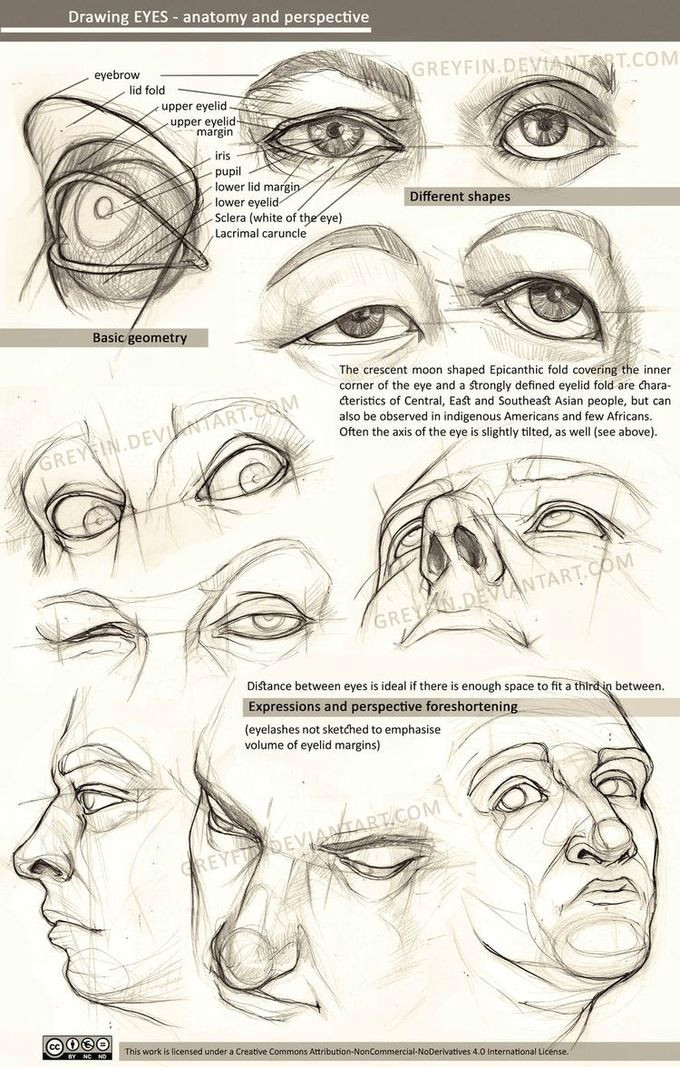 Drawing A Eyelid Realistic Drawing Reference Dump Zbrush Anatomy Pinterest