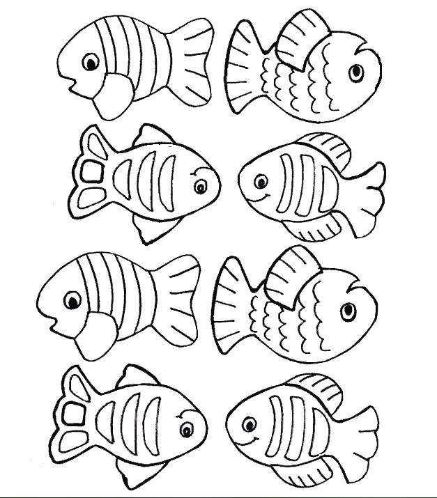 Drawing A Fish Eye Pin by Lia Bonilla On Shower isa Pinterest Coloring Pages Fish