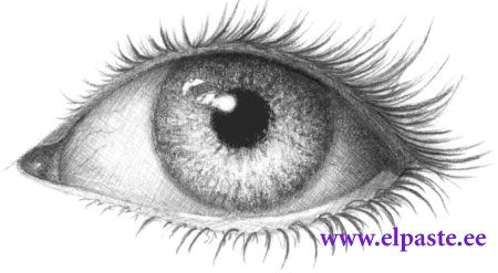 Drawing A Good Eye Drawing I Love to Draw Eyes they are the Opening Of the soul I