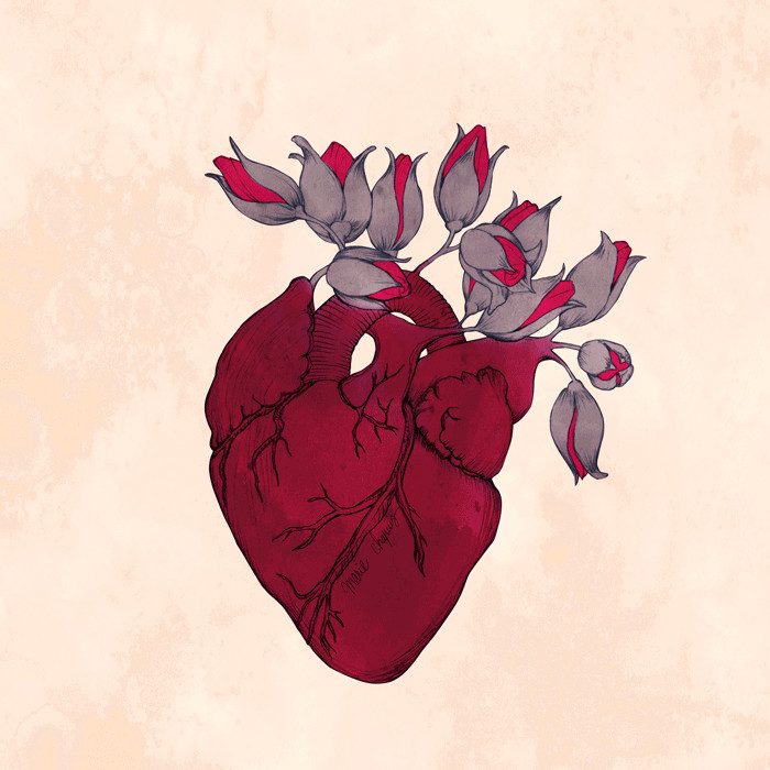 Drawing A Heart Gif Flowers Happy Bloom Gif On Gifer by Hugigamand