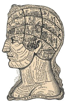 Drawing A Heart In Processing 132 Best Brains Brains Brains Images Learning Neuroscience