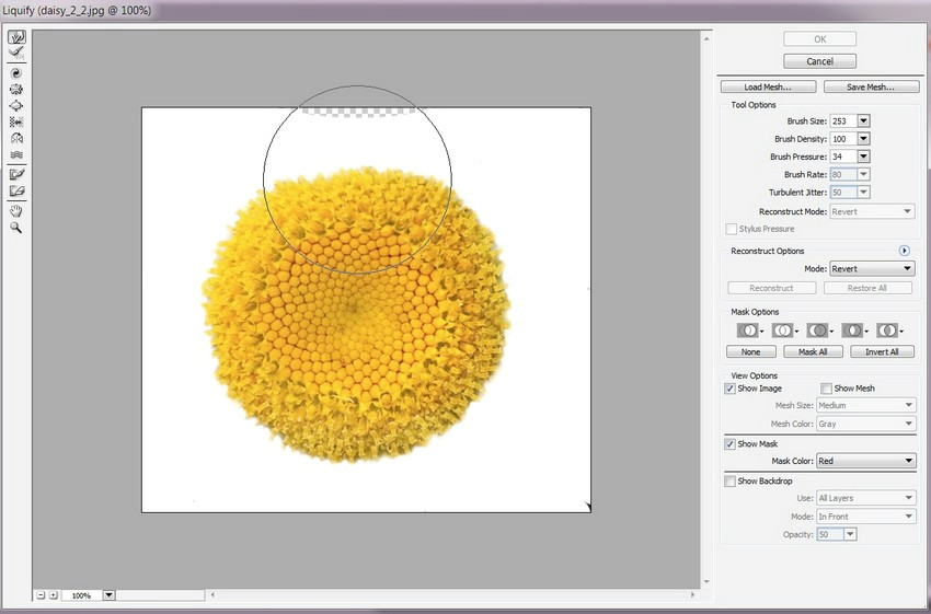 Drawing A Heart Shape In Illustrator How to Draw Heart Shaped Daisies In Adobe Illustrator