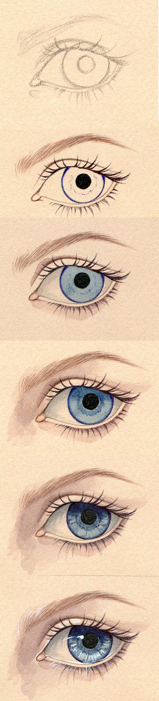 Drawing A Human Eye Step by Step Eye Tutorial by Neko Art Deviantart Com On Deviantart Human