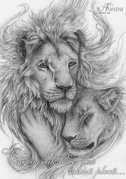 Drawing A Lions Eye Wrap Up Your Whispering Eyes by Avestra Animal Drawings