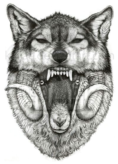 Drawing A Mad Wolf Wolf In Sheep Skin Tats 3 Tattoos Art Wolf Tattoos