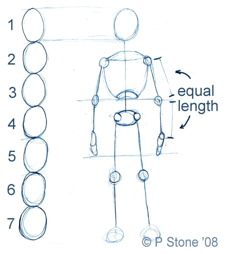 Drawing A Male Anime Body How to Draw A Basic Manga Character Body Proportions