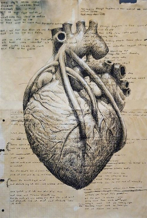 Drawing A Perfect Heart Pin by D A A D D D A A D On A I Frankensteina Pinterest Heart