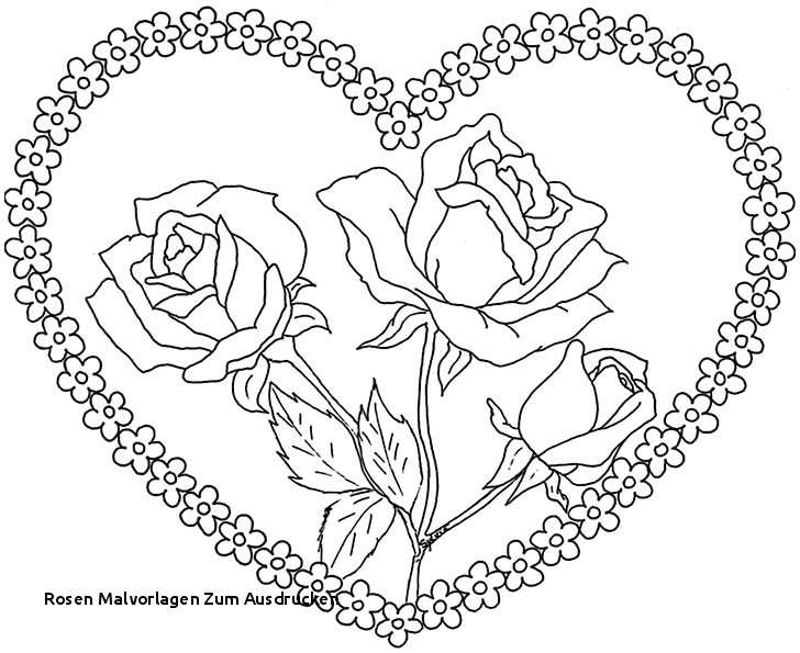 Drawing A Perfect Rose Malvorlage Rose Elegant Rosen Malvorlagen Zum Ausdrucken