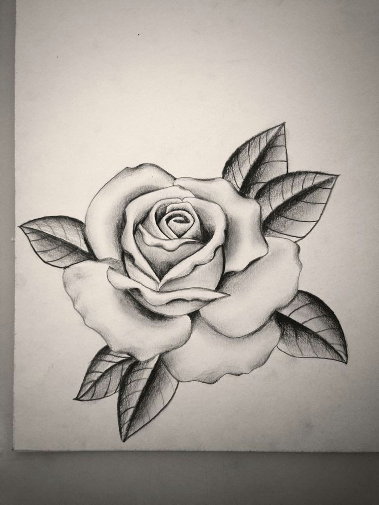 Drawing A Perfect Rose Pin by Sydney Mayes On Tattoo Tattoos Rose Tattoos Rose Drawing