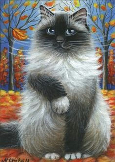 Drawing A Ragdoll Cat 1776 Best Ragdoll Images Beautiful Cats Kittens Cutest Pretty Cats