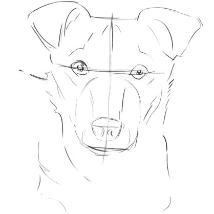 Drawing A Realistic Dog Face How to Draw A Dog From A Photograph