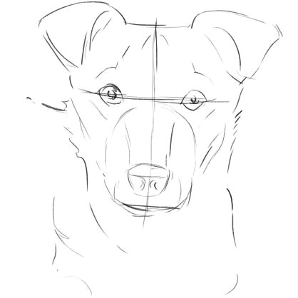 Drawing A Realistic Dog Step by Step How to Draw A Dog From A Photograph