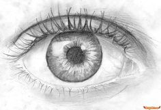 Drawing A Realistic Eye In Roblox 42 Best Eyes Images Drawings Of Eyes Learn to Draw Drawings