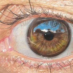 Drawing A Realistic Eye with Colored Pencils 262 Best How to Draw Eyes Images Drawing Eyes Draw Eyes Drawing
