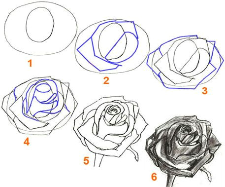 Drawing A Realistic Rose Step by Step 100 Best How to Draw Tutorials Flowers Images Drawing Techniques