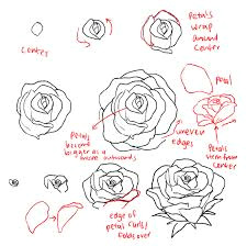 Drawing A Realistic Rose Step by Step How to Draw A Rose Dr Odd