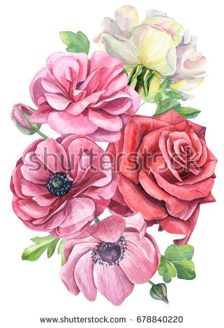 Drawing A Red Rose Greeting Card A Bouquet Of Pink Anemones White and Red Rose Hand