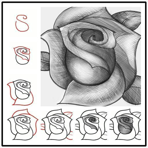 Drawing A Rose Beginners How to Draw A Rose Tutorial Quick Easy Step by Step Can Learn