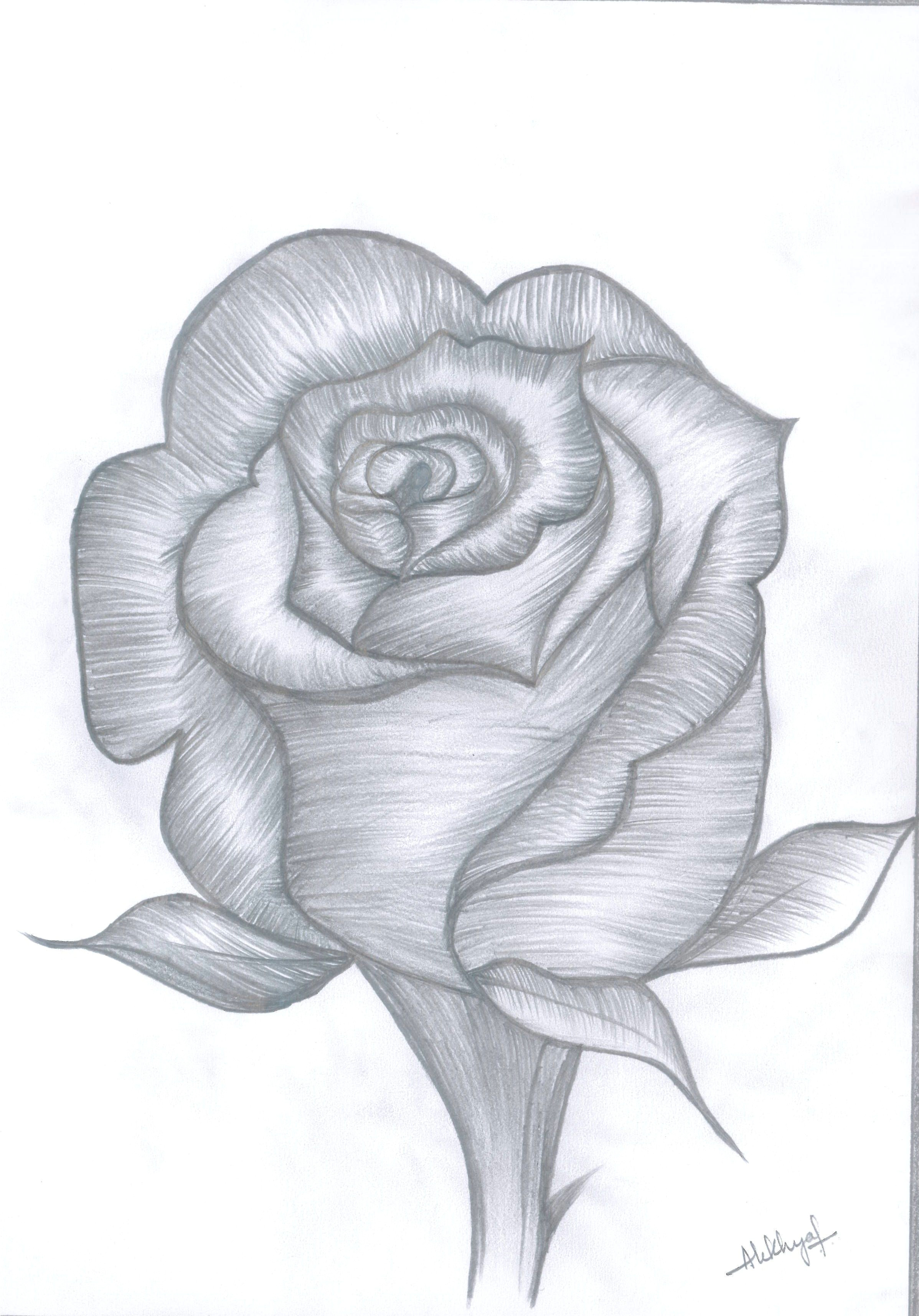 Drawing A Rose Bud Rose Bud Drawings In 2018 Pinterest Draw Rose Buds and Pencil