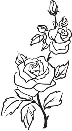 Drawing A Rose Bush Wb Flowers 2 37 My Designs Coloring Pages Flower Coloring Pages