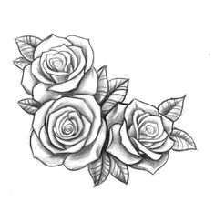 Drawing A Rose for Beginners Resultado De Imagen Para Three Black and Grey Roses Drawing Tattoo