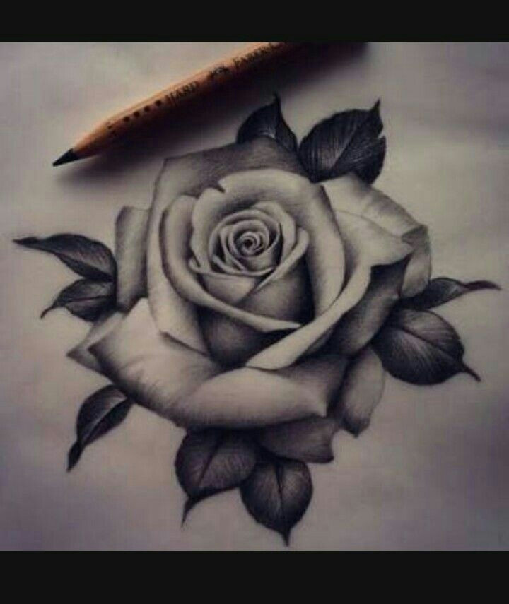 Drawing A Rose Realistic Pin by Cynthia Shea On Flowers Pinterest Rose Tattoos Tattoos