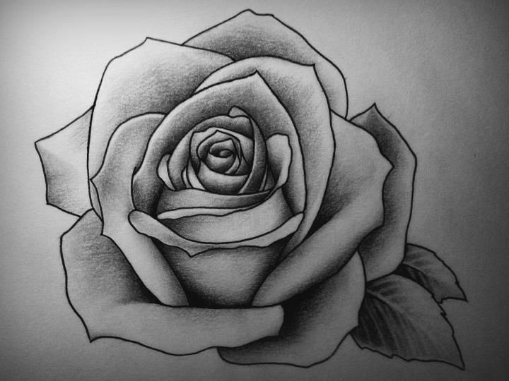 Drawing A Rose Realistic Rose by Detailedexpressions Deviantart Com On Deviantart Tattoo