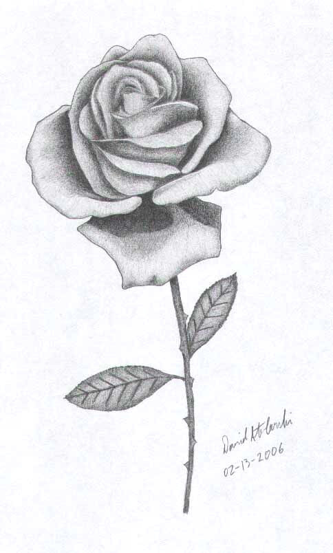 Drawing A Rose Realistic Rose Sketch Roses In 2019 Drawings Art Drawings Rose Sketch