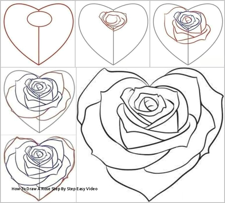 Drawing A Rose Step by Step Easy How to Draw A Rose Step by Step Easy Video Easy to Draw Rose Luxury