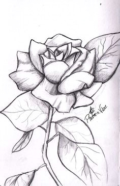 Drawing A Rose Time Lapse 108 Best Rose Drawings Images Flowers Ink Cool Tattoos