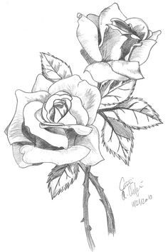 Drawing A Rose Tutorial are You Looking for A Tutorial On How to Draw A Rose Look No