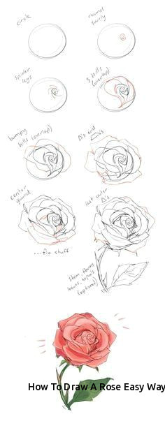 Drawing A Rose Tutorial How to Draw A Rose Easy Way Prslide Com