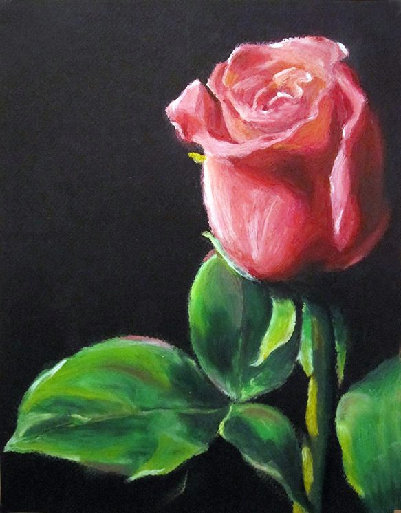 Drawing A Rose with Oil Pastels Oil Pastel Paintings Oil Pastels Flower Valentine Rose Eric