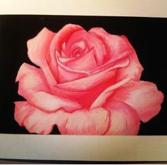 Drawing A Rose with Pastels 667 Best Art Oil Pastel Images Drawings Pastel Drawing Art