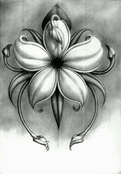 Drawing A Rose with Pen 61 Best Pencil Drawings Of Flowers Images Pencil Drawings Pencil