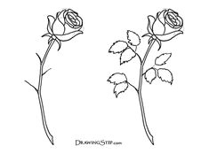 Drawing A Rose Youtube 163 Best How to Draw Rose Images Drawings Drawing Flowers How to