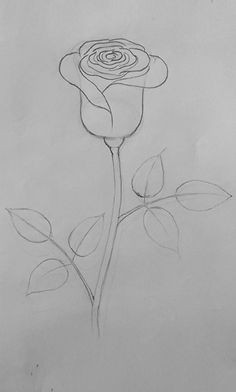 Drawing A Rose Youtube 163 Best How to Draw Rose Images Drawings Drawing Flowers How to