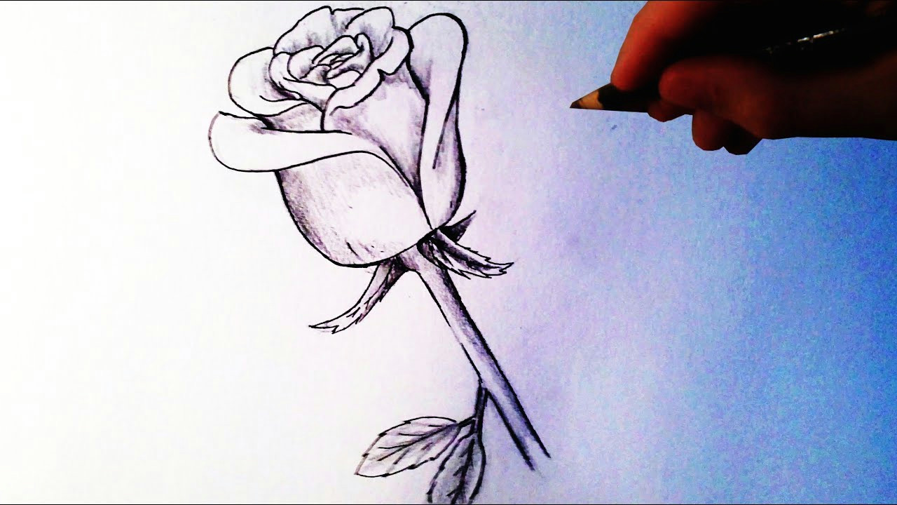 Drawing A Rose Youtube Knumathise Rose Drawing Images