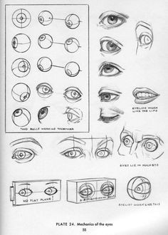 Drawing A Set Of Eyes 32 Best Eyes Images In 2018 Drawing Techniques Drawing Lessons