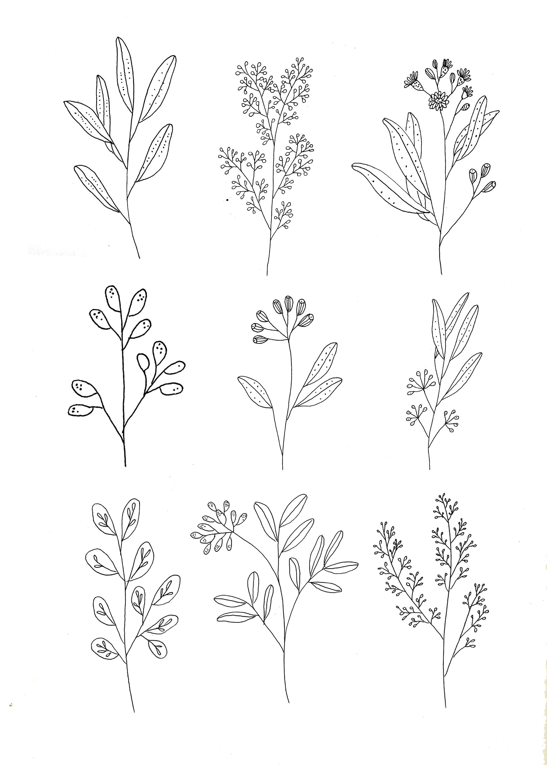 Drawing A Simple Flowers Botanics by Ryn Frank Www Rynfrank Co Uk Tattoo Ideas Drawi