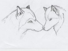 Drawing A Simple Wolf 180 Best Wolf Drawings Images Drawing Techniques Drawing